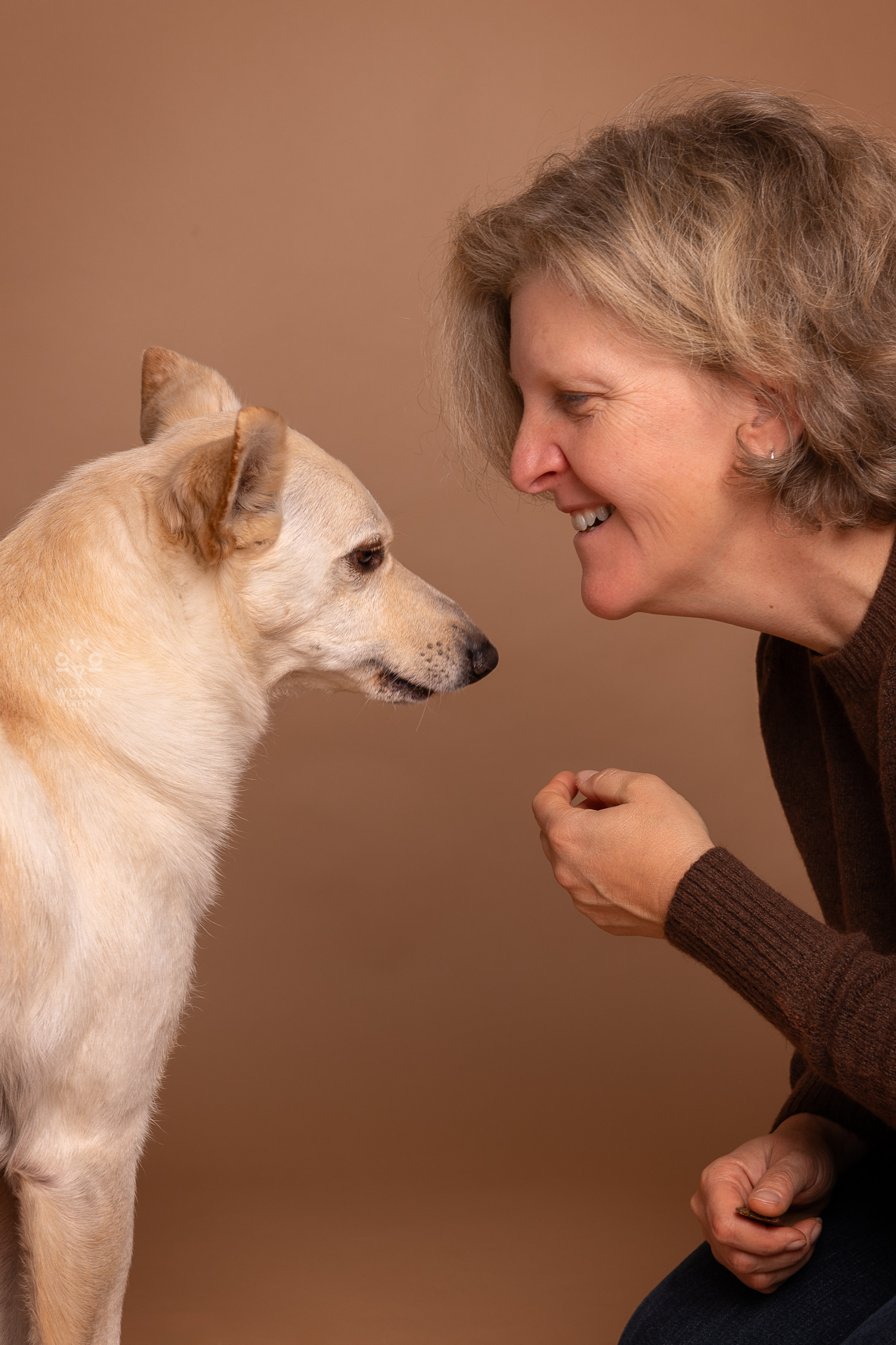 Tierphysiotherapie Sprogis